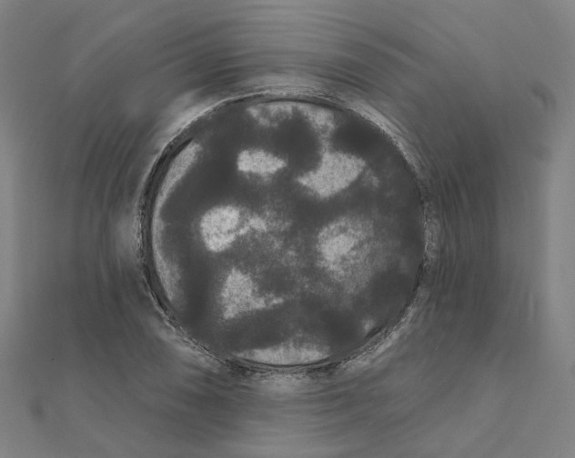 X0000111421074200908101051