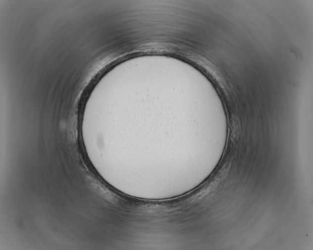 X0000111421075200908101051