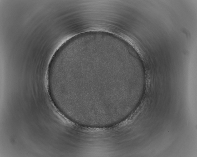 X0000111421076200908101051