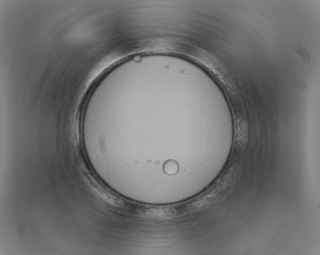 X0000111421078200908101051