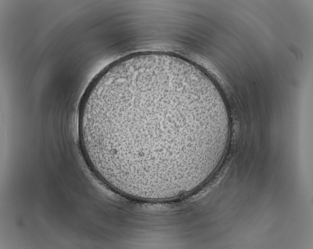 X0000111421079200908101051