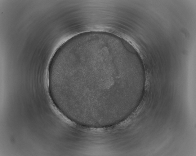 X0000111421080200908101051