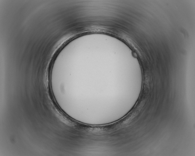X0000111421082200908101051