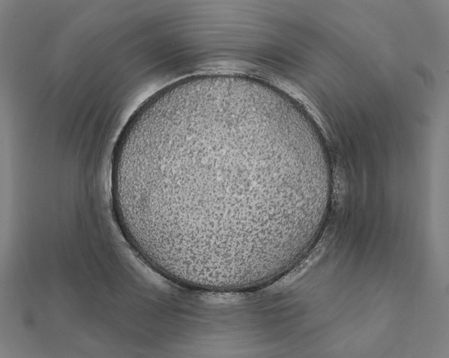 X0000111421083200908101051