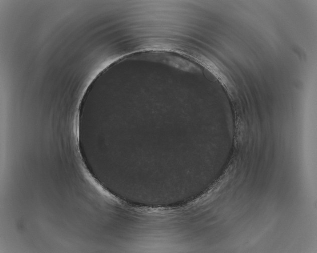 X0000111421084200908101051