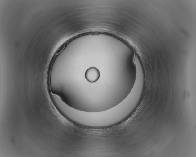 X0000111421086200908101051