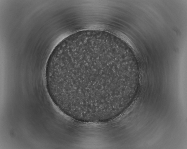 X0000111421087200908101051