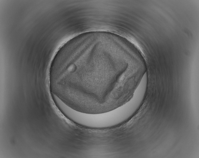 X0000111421088200908101051