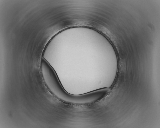 X0000111421089200908101051