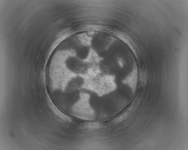 X0000111421090200908101051