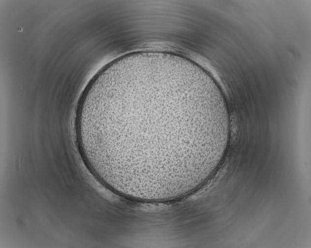 X0000111421091200908101051
