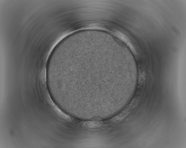 X0000111421092200908101051