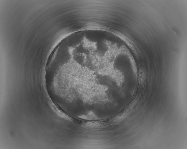 X0000111421094200908101051