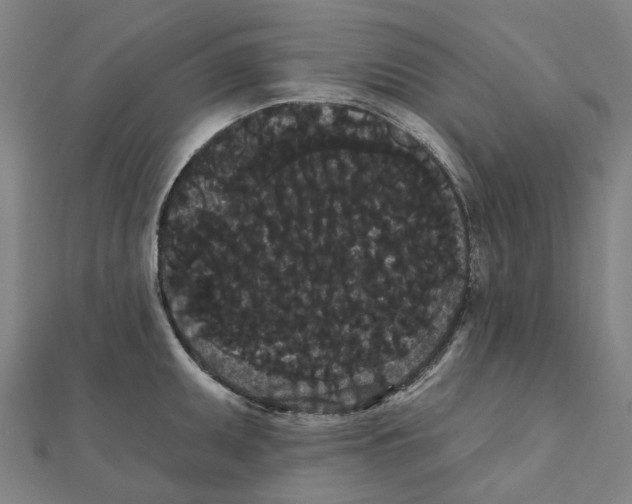 X0000111421095200908101051