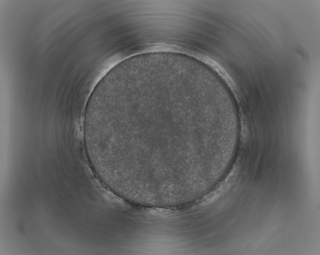 X0000111421097200908101051