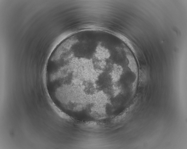 X0000111421098200908101051