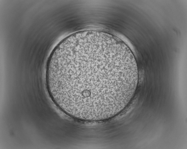 X0000111421099200908101051