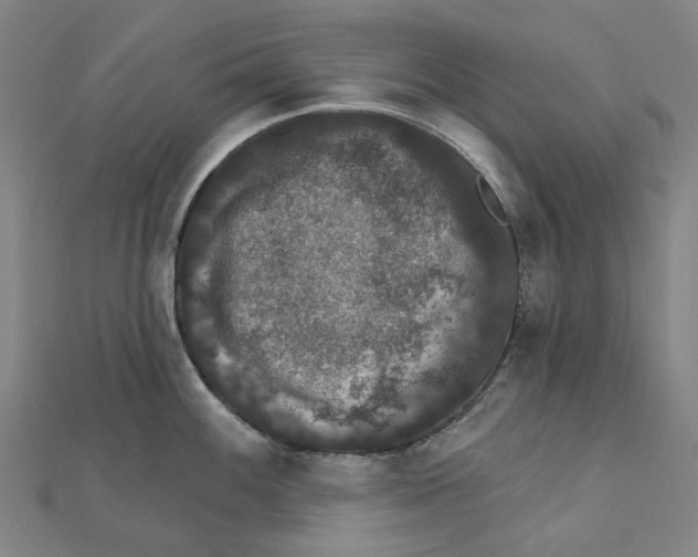 X0000111421100200908101051