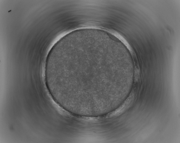 X0000111421101200908101051