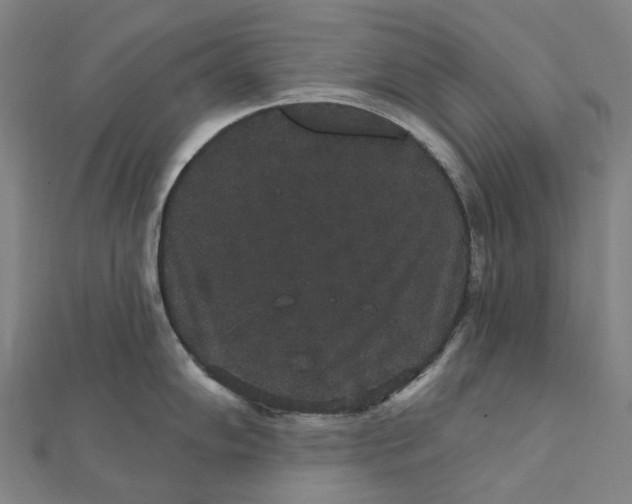 X0000111421102200908101050