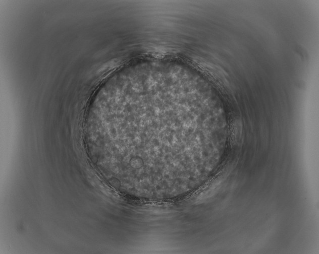 X0000111421105200908101050