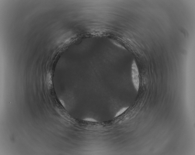 X0000111421106200908101050
