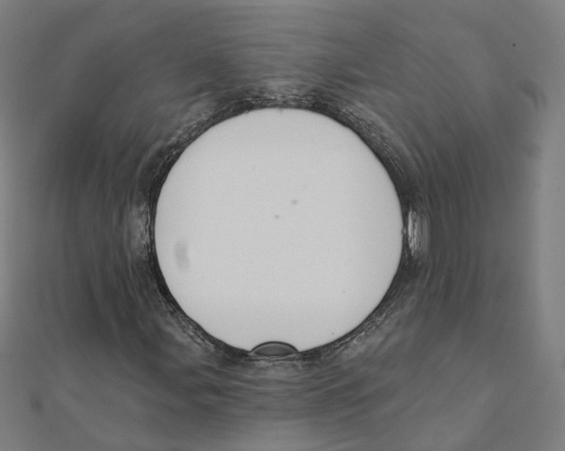X0000111421107200908101050