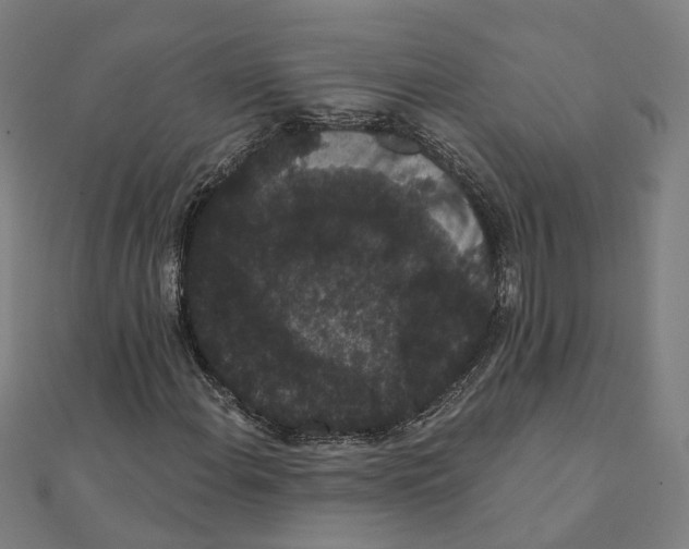X0000111421108200908101050