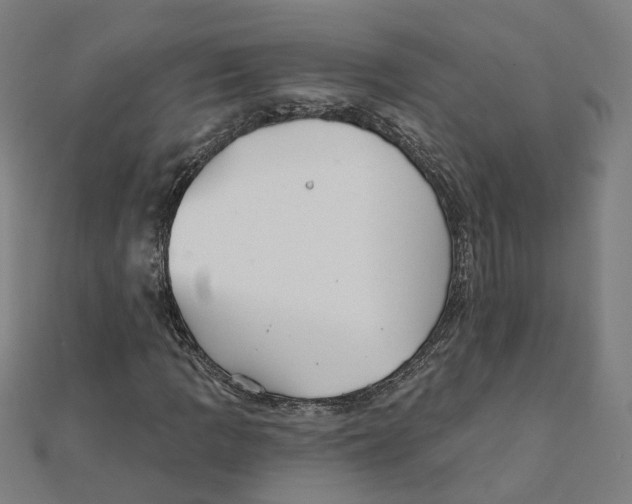 X0000111421109200908101050