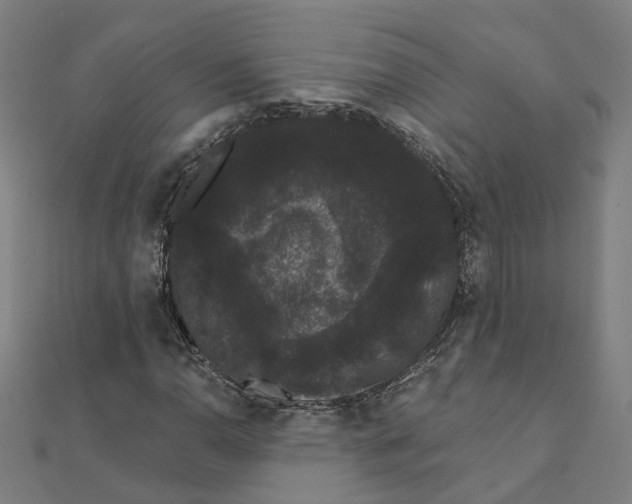 X0000111421110200908101050