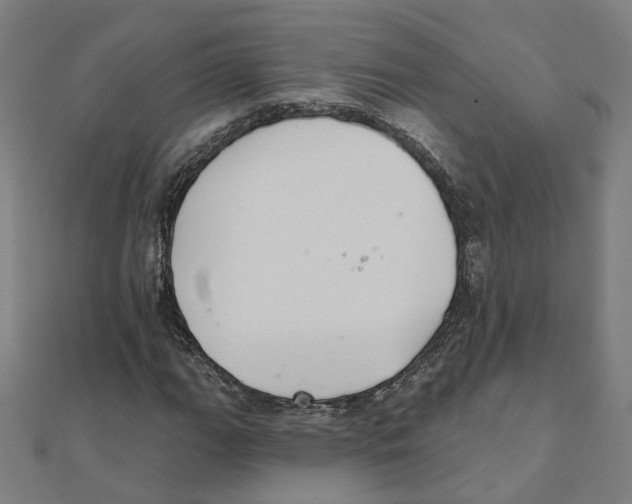 X0000111421111200908101050