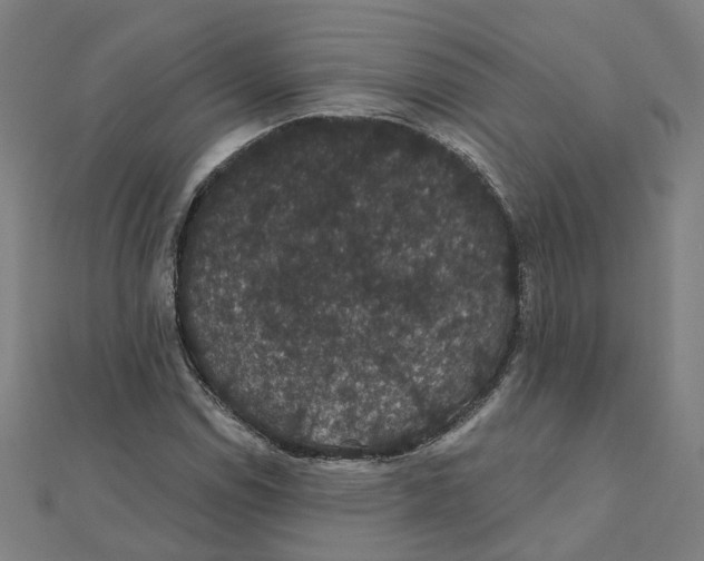 X0000111421114200908101050