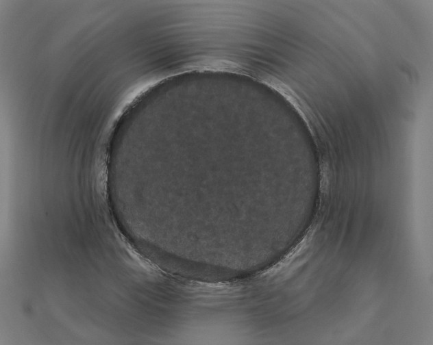 X0000111421115200908101050