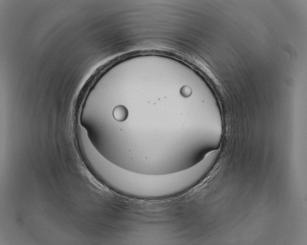 X0000111421116200908101050