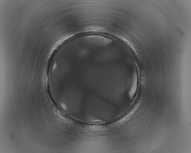 X0000111421117200908101050