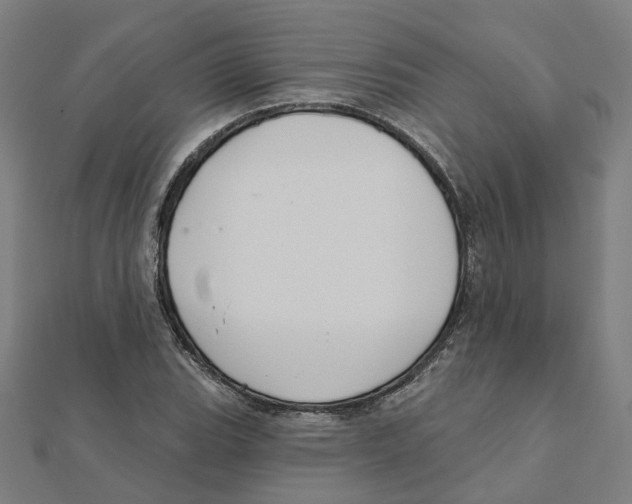X0000111421119200908101050