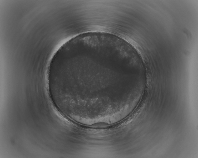 X0000111421120200908101050