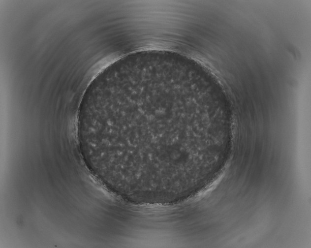X0000111421121200908101050