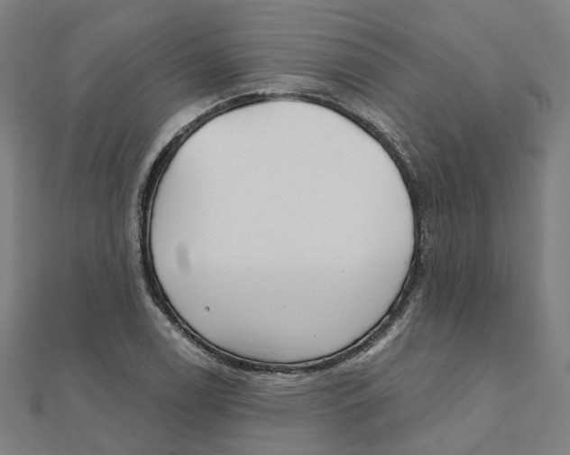 X0000111421122200908101050