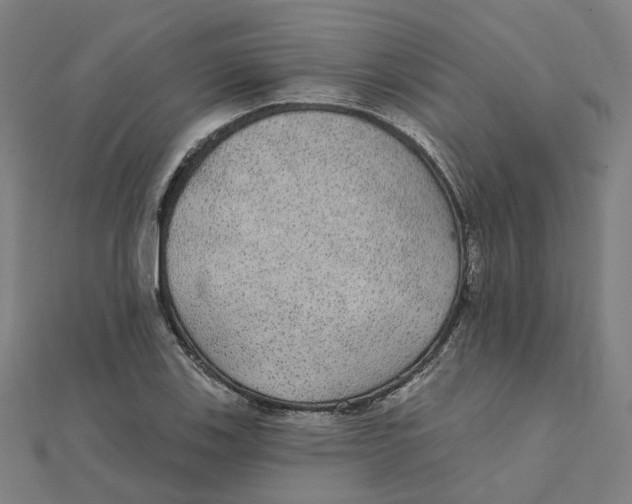 X0000111421123200908101050