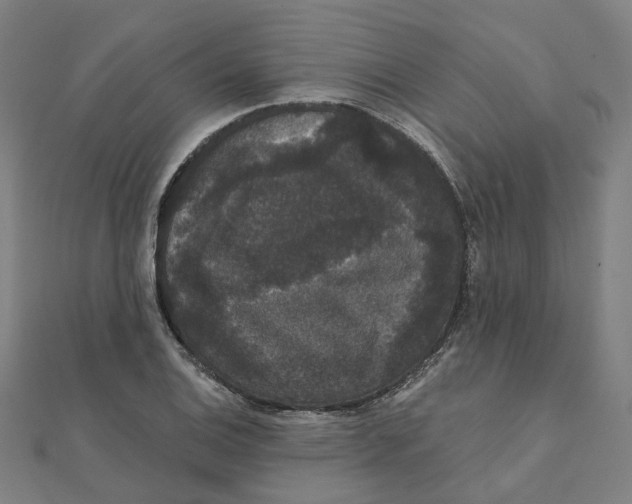 X0000111421124200908101050