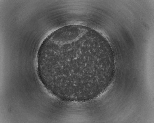 X0000111421125200908101050