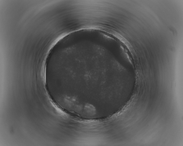 X0000111421127200908101050