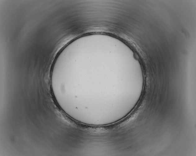 X0000111421129200908101050