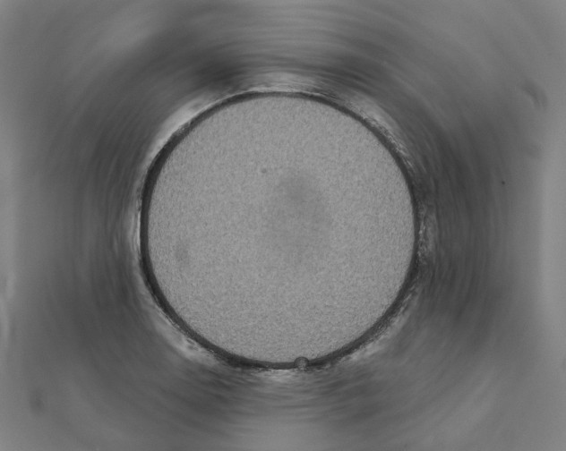 X0000111421130200908101050