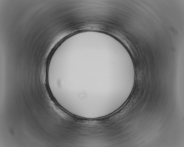 X0000111421131200908101050
