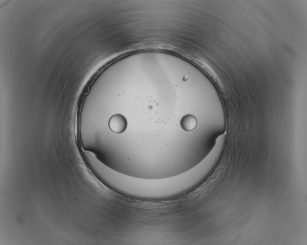 X0000111421132200908101050