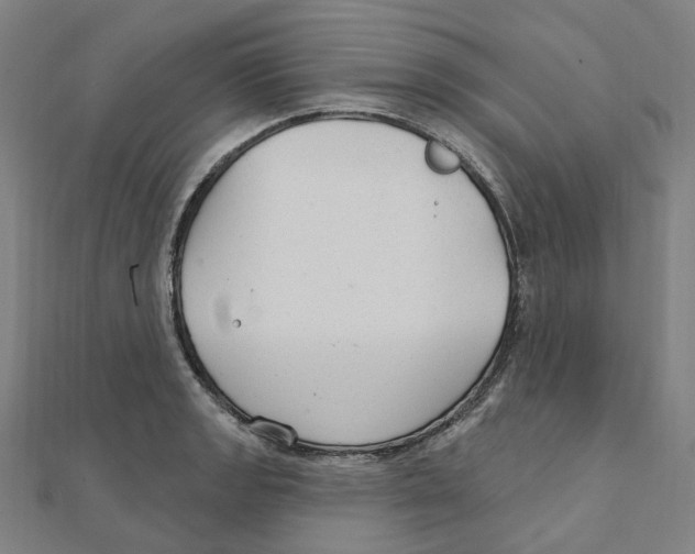 X0000111421133200908101050