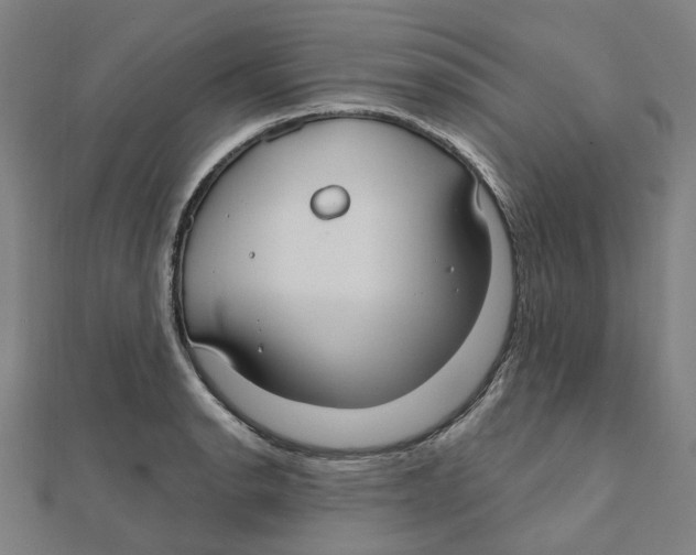 X0000111421134200908101050