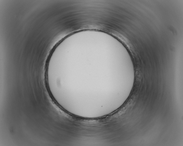 X0000111421135200908101050